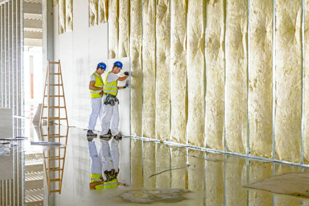 Best Eco-Friendly Insulation in Brooktrails, CA